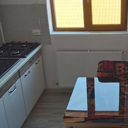 Studio Elisa Apartment Caransebes Bagian luar foto