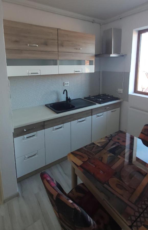 Studio Elisa Apartment Caransebes Bagian luar foto