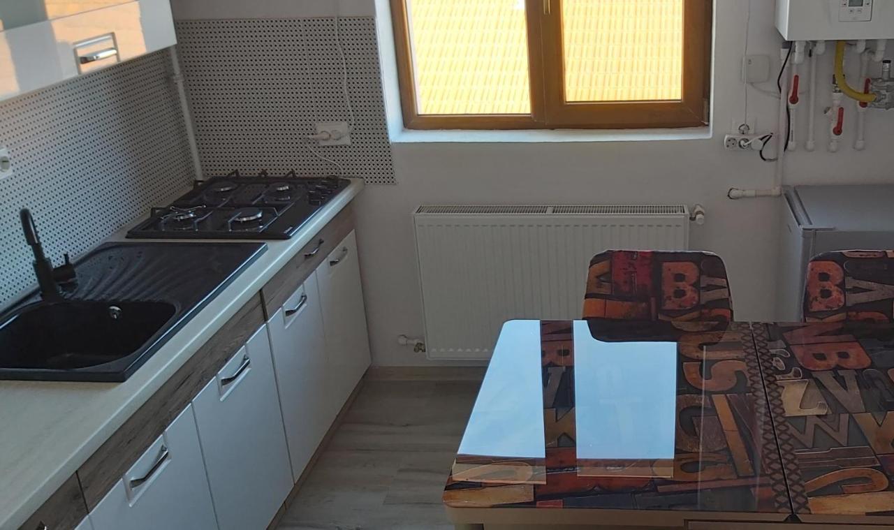 Studio Elisa Apartment Caransebes Bagian luar foto