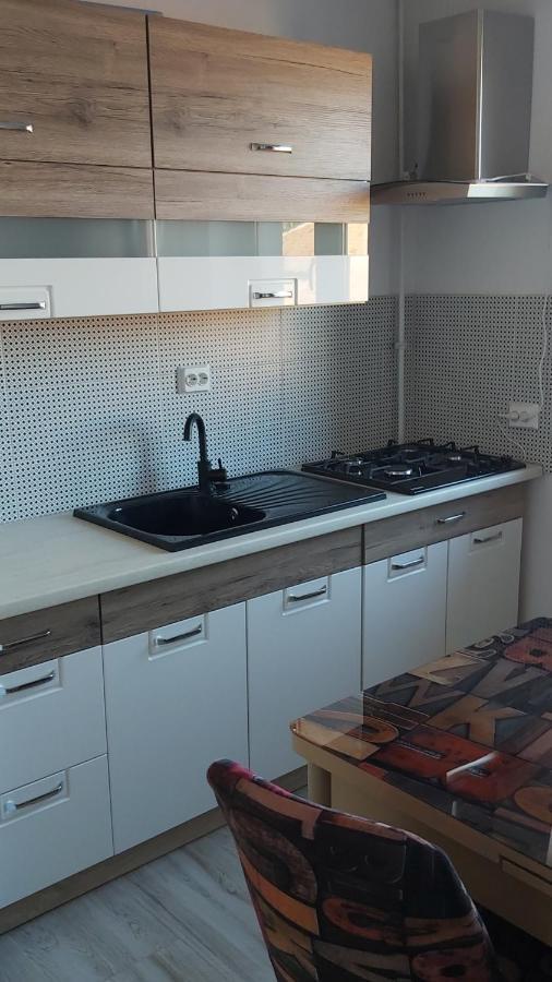 Studio Elisa Apartment Caransebes Bagian luar foto
