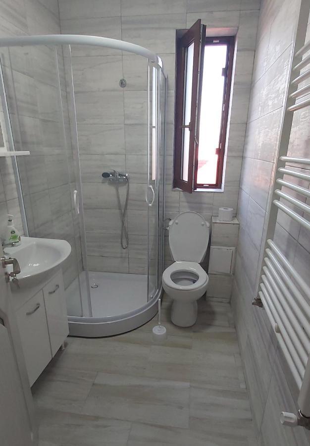 Studio Elisa Apartment Caransebes Bagian luar foto