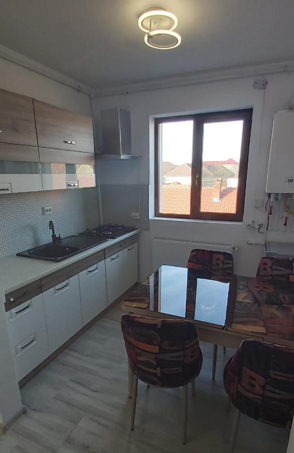 Studio Elisa Apartment Caransebes Bagian luar foto